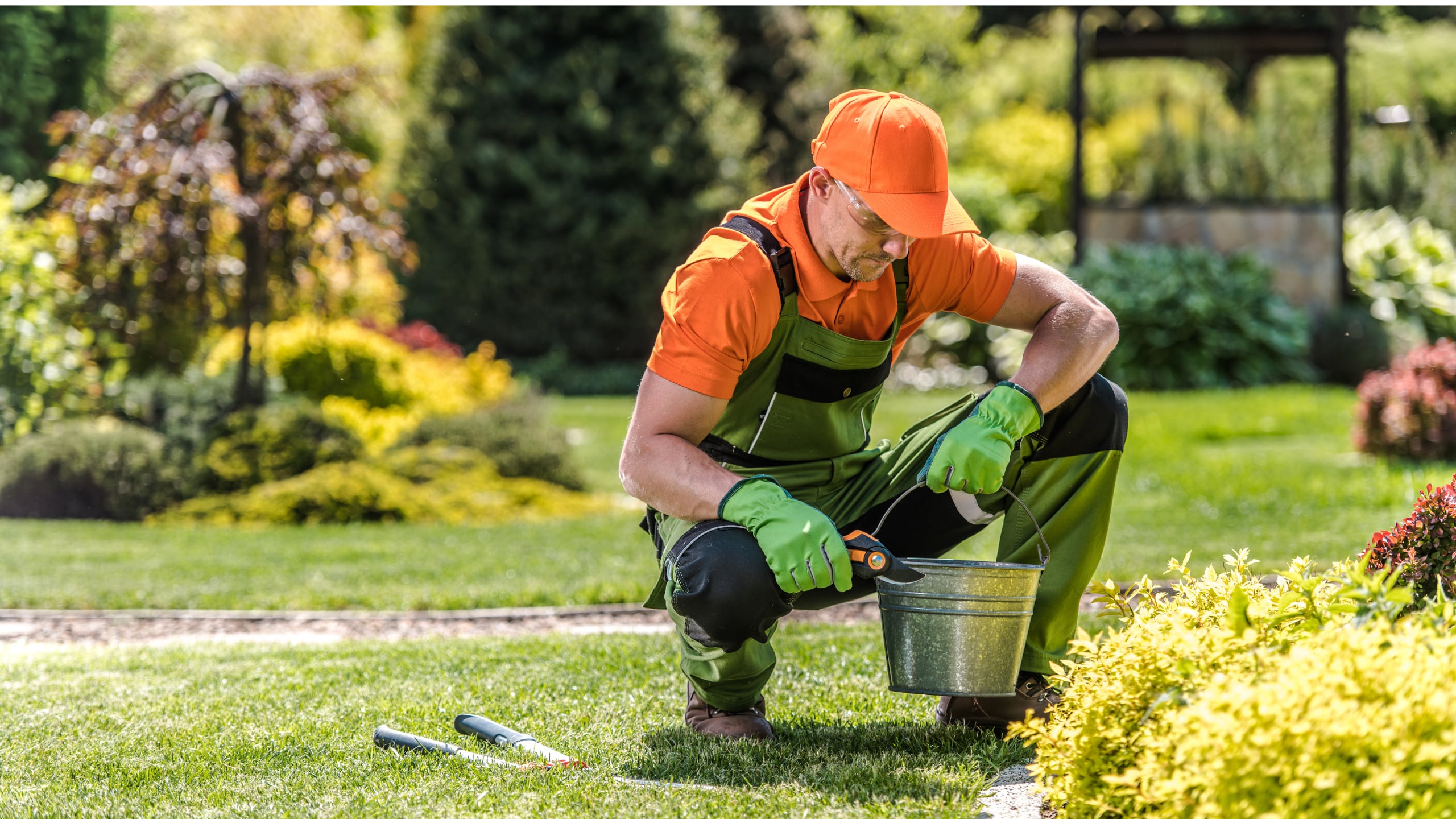 Gartenpflege Herbst Tipps